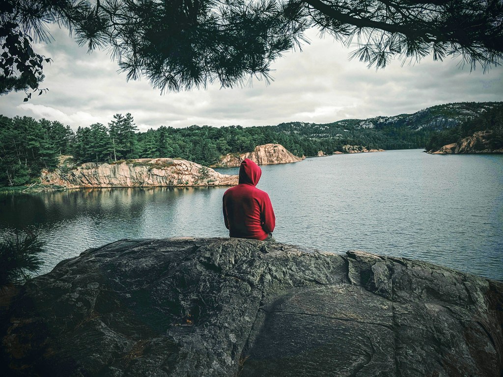 Sometimes I Just Need to Sit Under a&nbsp;Tree